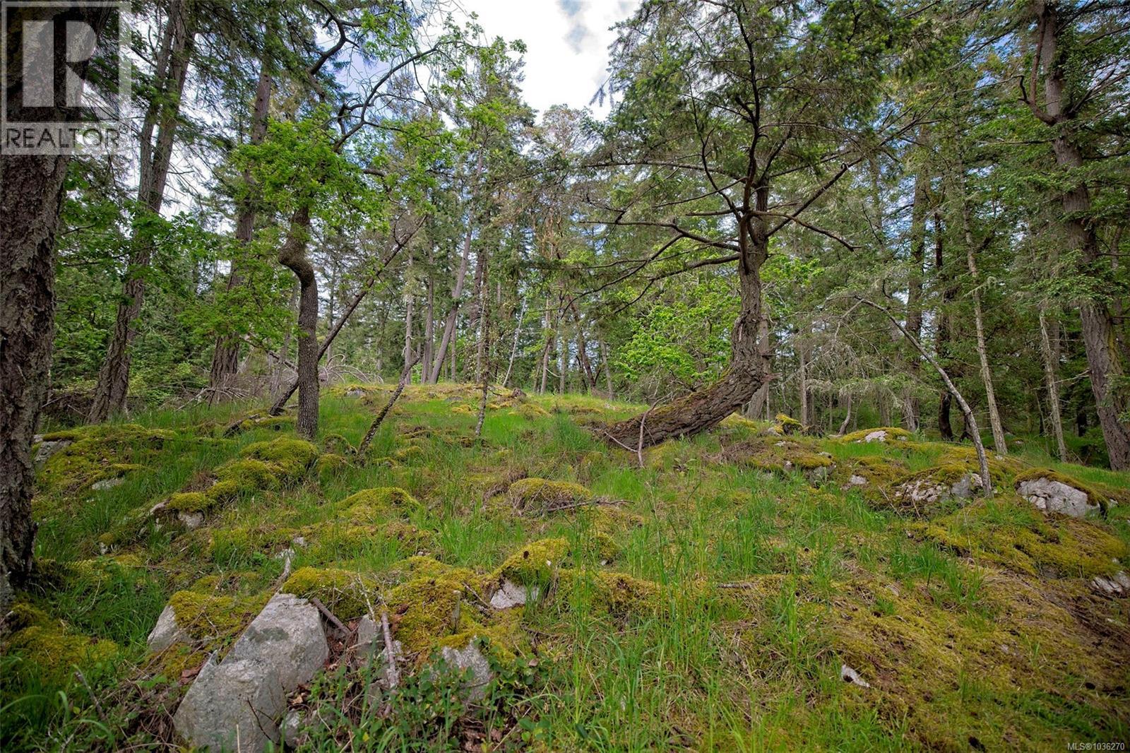 157 Menhinick Dr, Salt Spring, British Columbia  V8K 1W7 - Photo 23 - 1036270