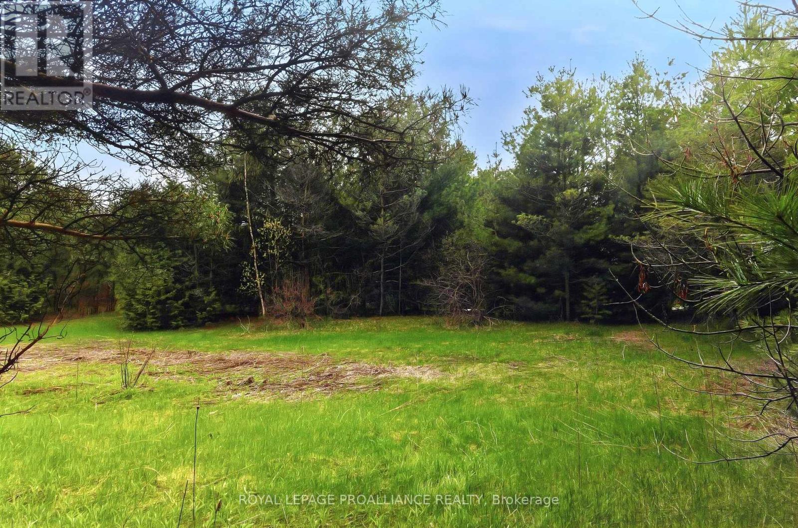0 Woodland Avenue, Port Hope, Ontario  L0A 1B0 - Photo 7 - X13105324