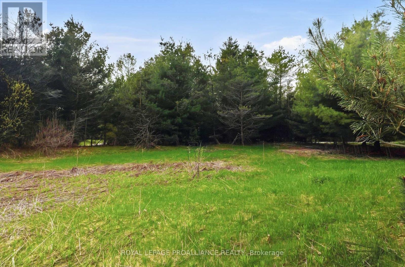 0 Woodland Avenue, Port Hope, Ontario  L0A 1B0 - Photo 8 - X13105324