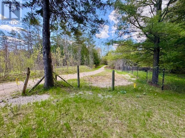 49 7th Street, Hanover, Ontario  N4N 1G3 - Photo 18 - X13105298