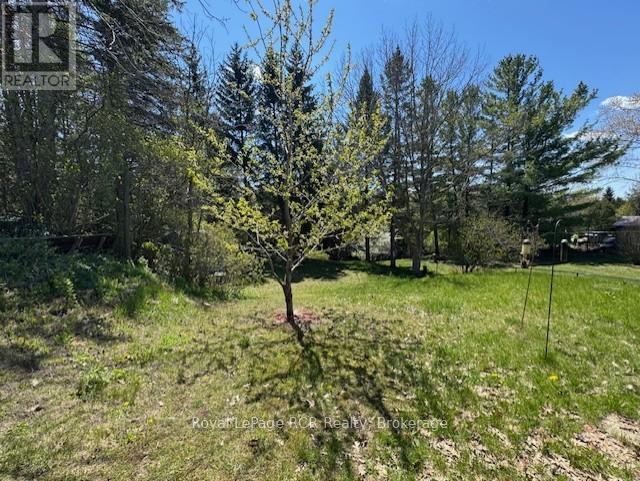 49 7th Street, Hanover, Ontario  N4N 1G3 - Photo 27 - X13105298