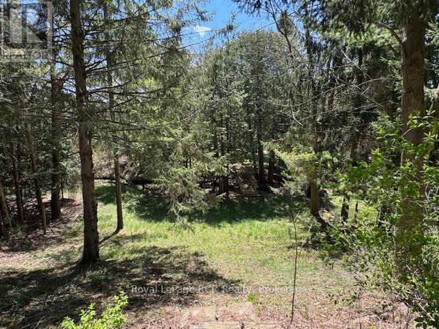 49 7th Street, Hanover, Ontario  N4N 1G3 - Photo 29 - X13105298
