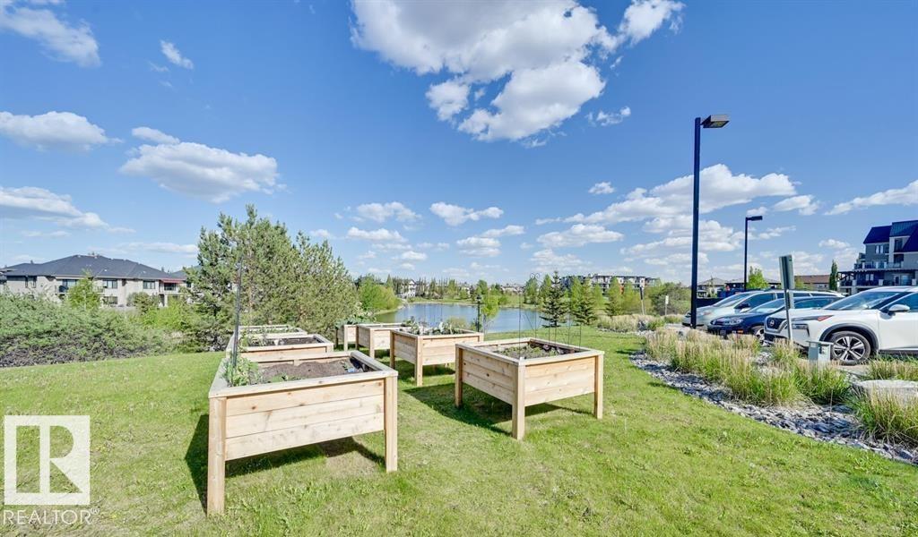 #217 6083 Maynard Wy Nw, Edmonton, Alberta  T6R 0S5 - Photo 28 - E4486692