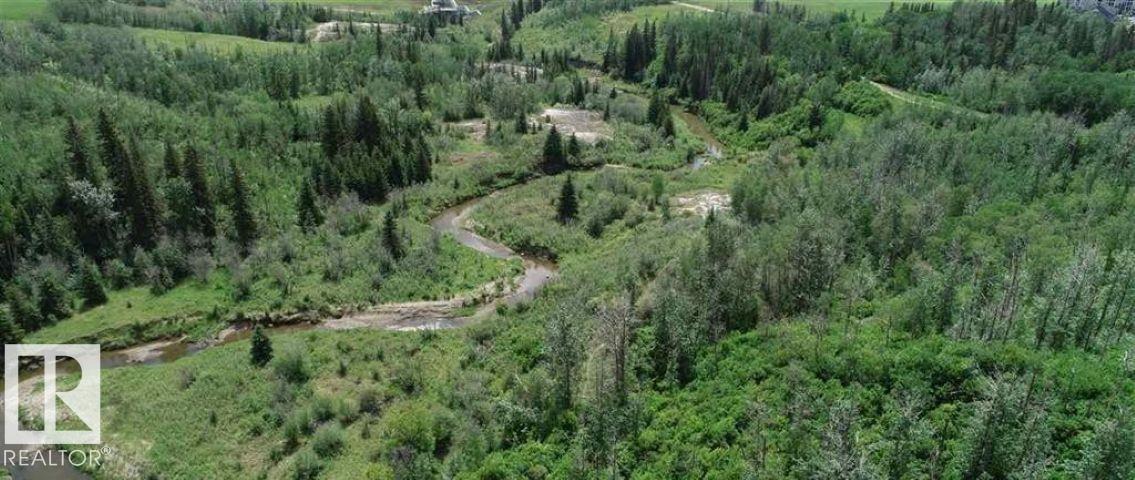#217 6083 Maynard Wy Nw, Edmonton, Alberta  T6R 0S5 - Photo 30 - E4486692