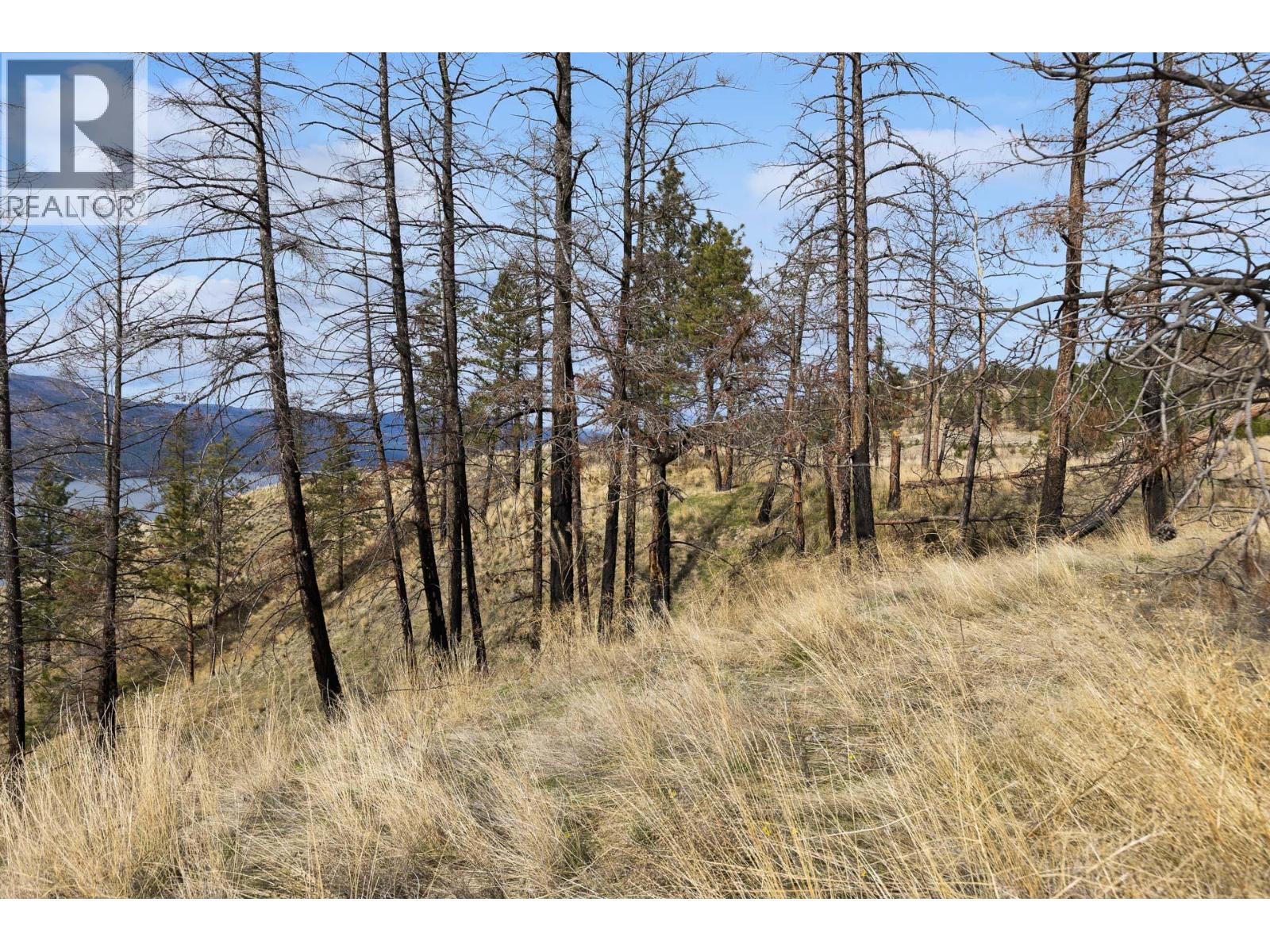 Lot 20 Tyndall Road, Lake Country, British Columbia  V4V 0A9 - Photo 20 - 10384267