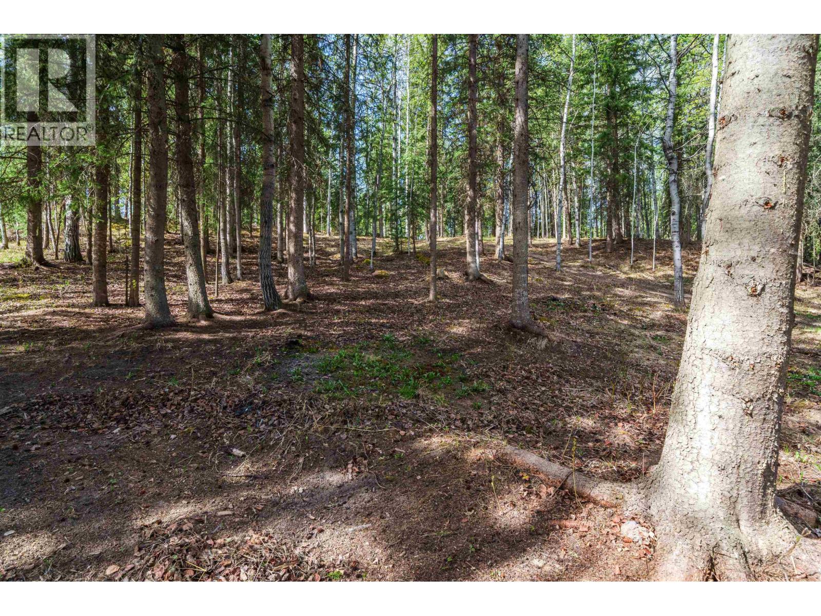 Lot 43 Wolfe Road, 100 Mile House, British Columbia  V0K 2E3 - Photo 6 - R3096239