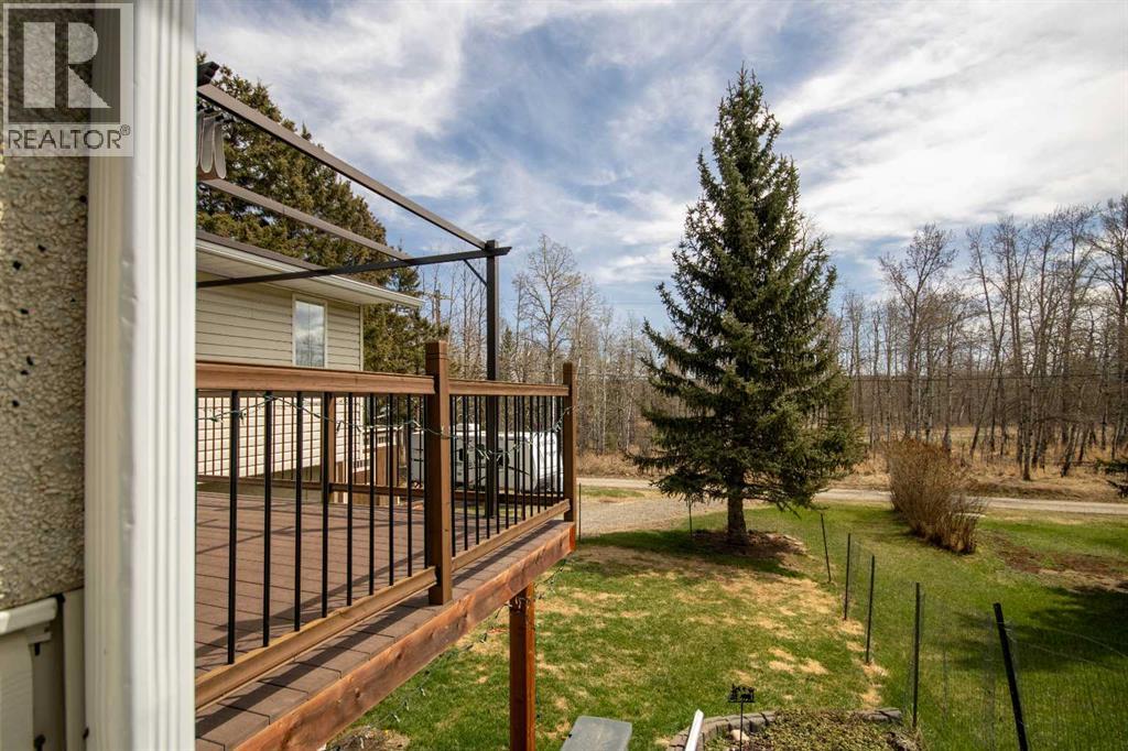 209 2 Street NE, Sundre, Alberta  T0M 1X0 - Photo 10 - A2305673
