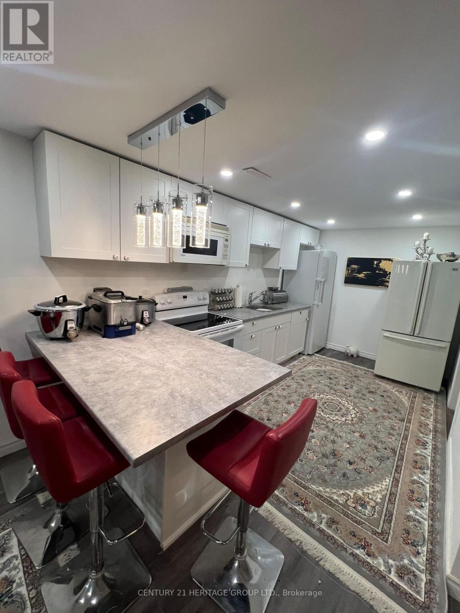Basement - 238 Glenway Circle, Newmarket, Ontario  L3Y 7S6 - Photo 8 - N13105160