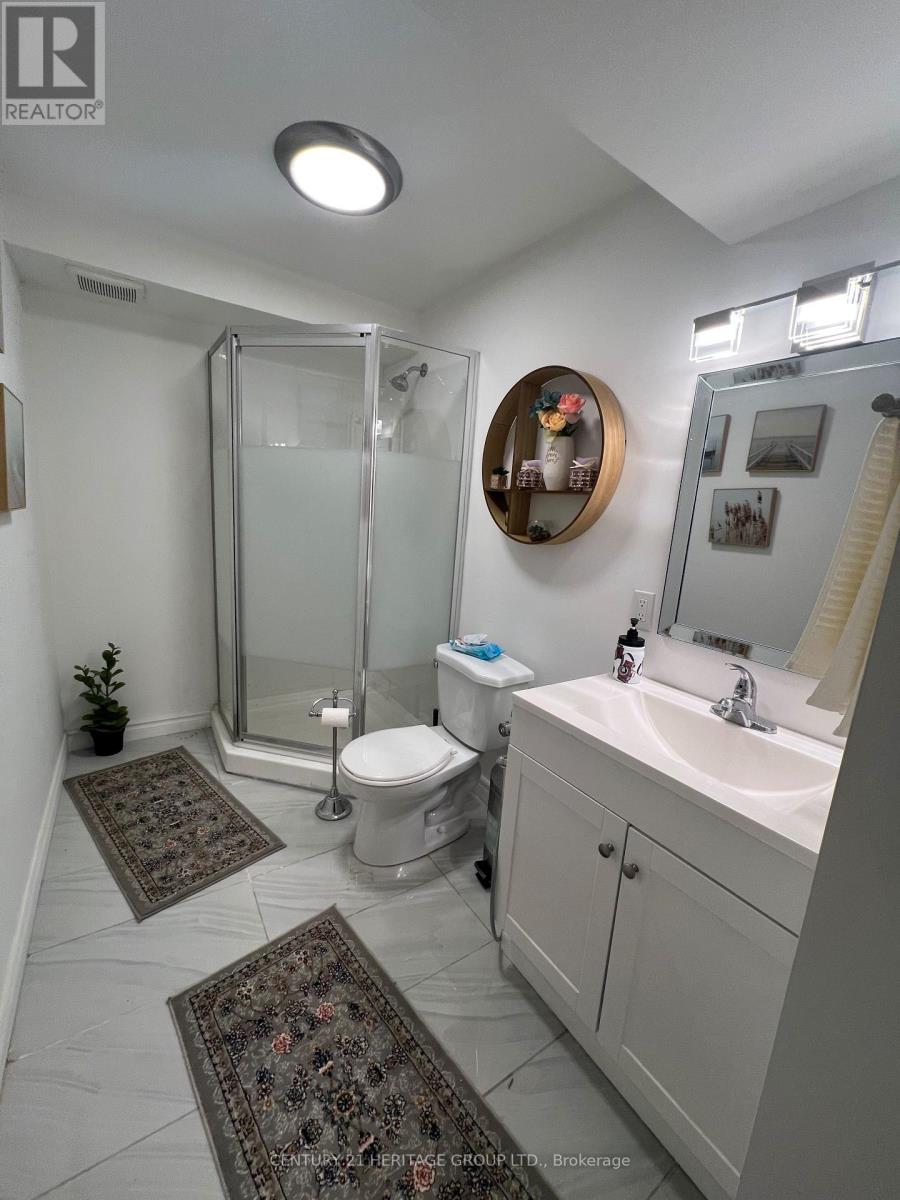 Basement - 238 Glenway Circle, Newmarket, Ontario  L3Y 7S6 - Photo 9 - N13105160