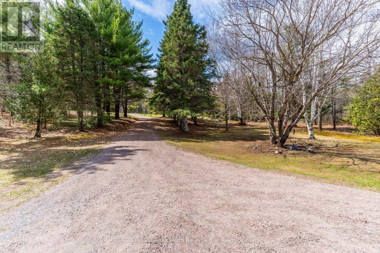 1591 Irondale Road, Highlands East, Ontario  K0M 1X0 - Photo 39 - X13105380