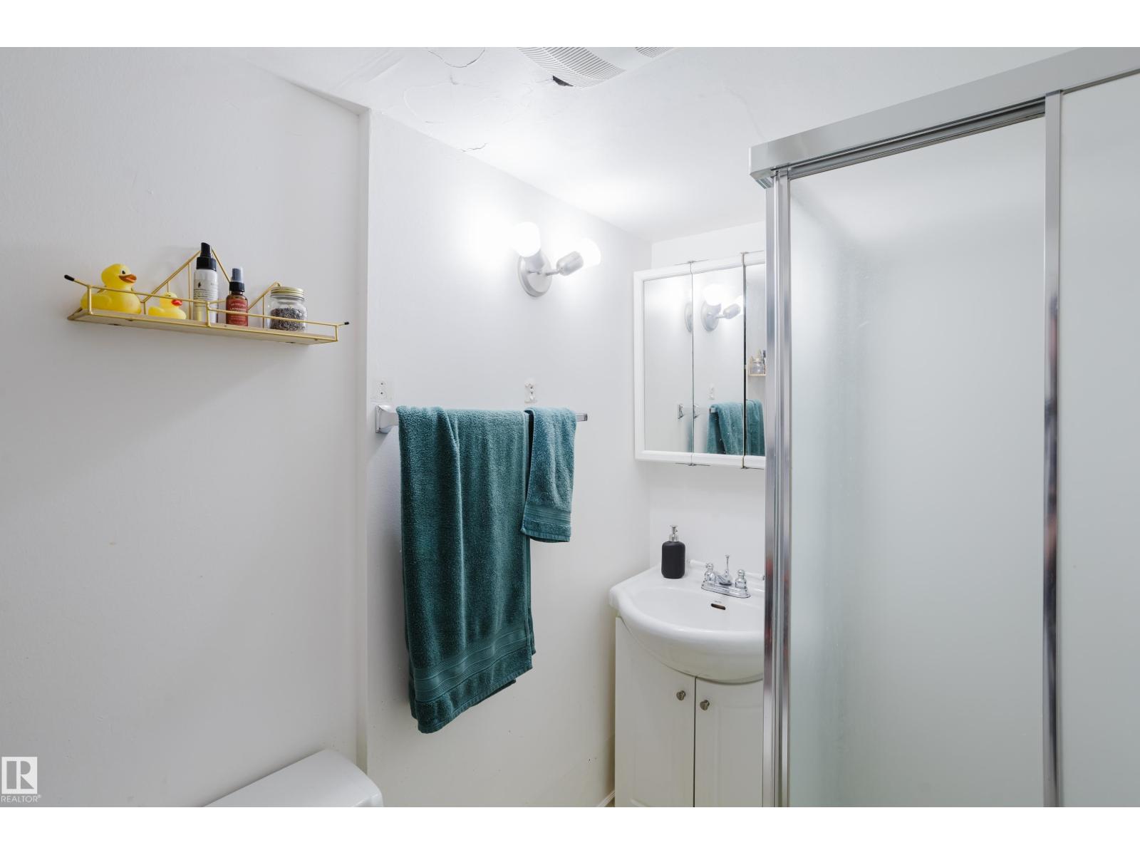 10325 152 St Nw, Edmonton, Alberta  T5P 1Y4 - Photo 29 - E4486702