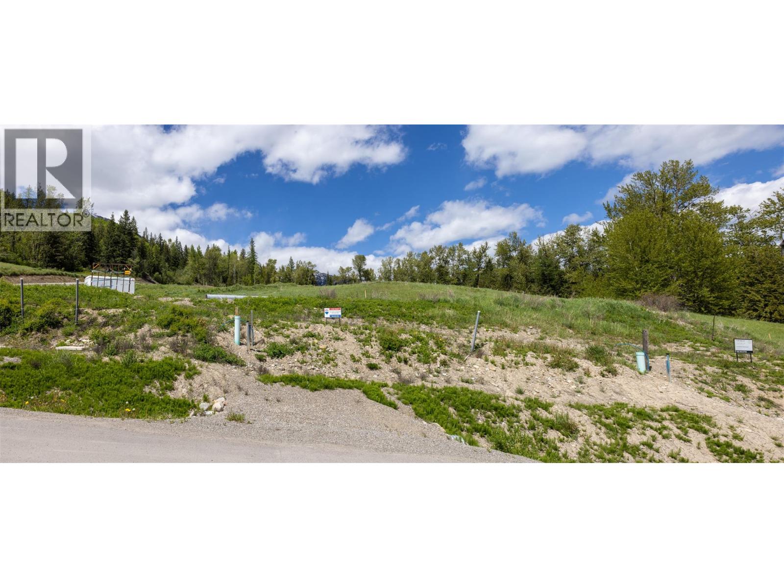 1683 Mcleod Avenue, Fernie, British Columbia  V0B 1M1 - Photo 24 - 10386602