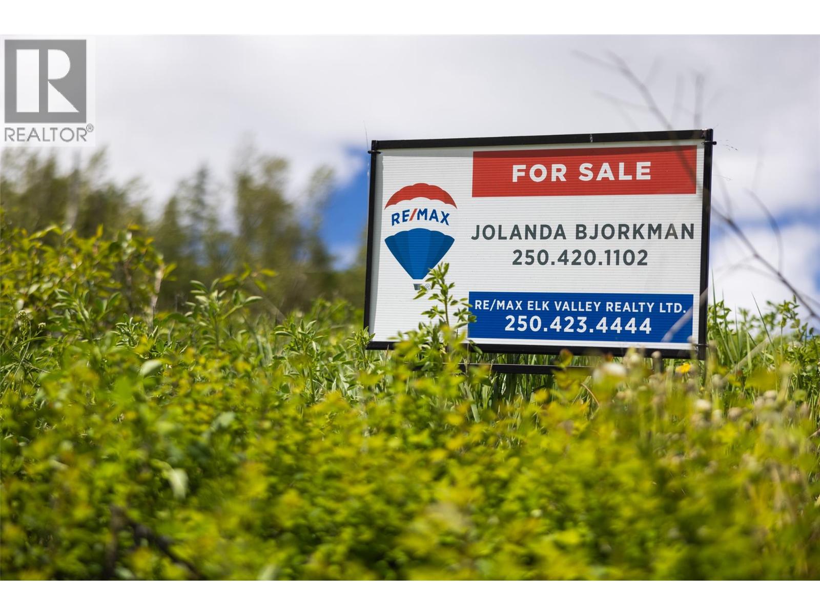 1683 Mcleod Avenue, Fernie, British Columbia  V0B 1M1 - Photo 26 - 10386602
