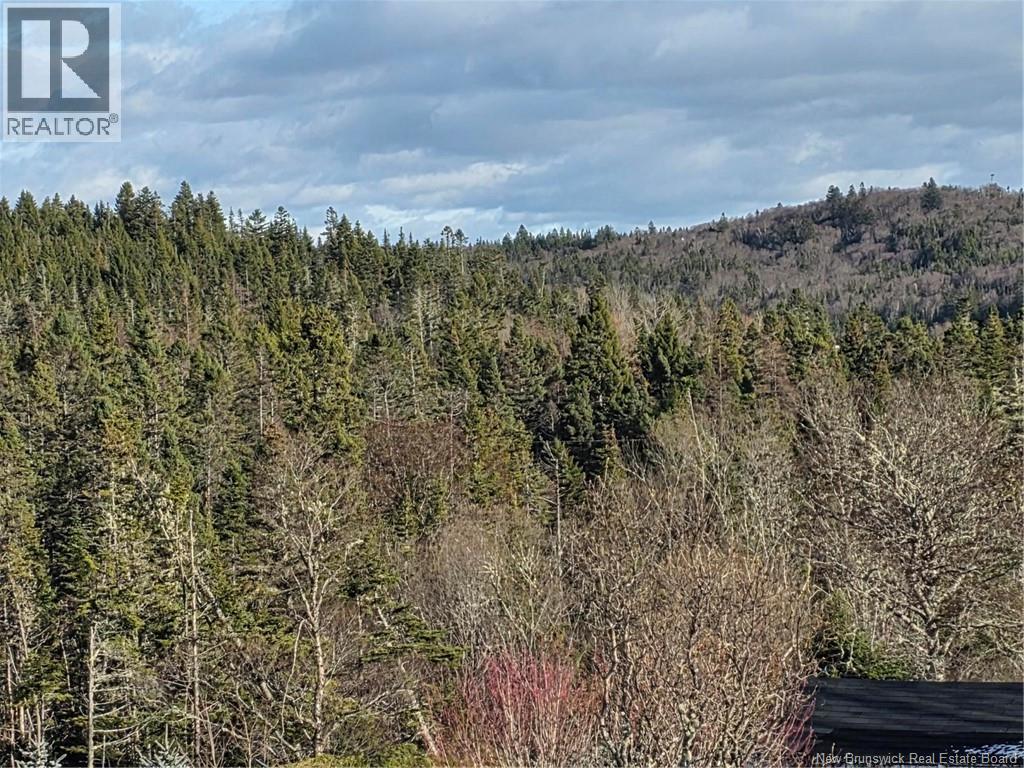 87 French Village Road, Blacks Harbour, New Brunswick  E5H 1G1 - Photo 13 - NB130378