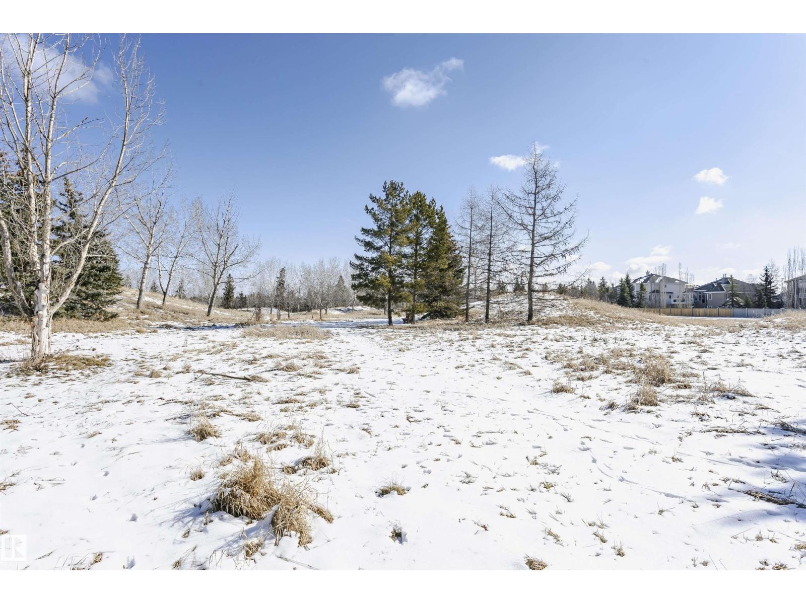 1009 Twin Brooks Co Nw, Edmonton, Alberta  T6J 7G5 - Photo 26 - E4486709