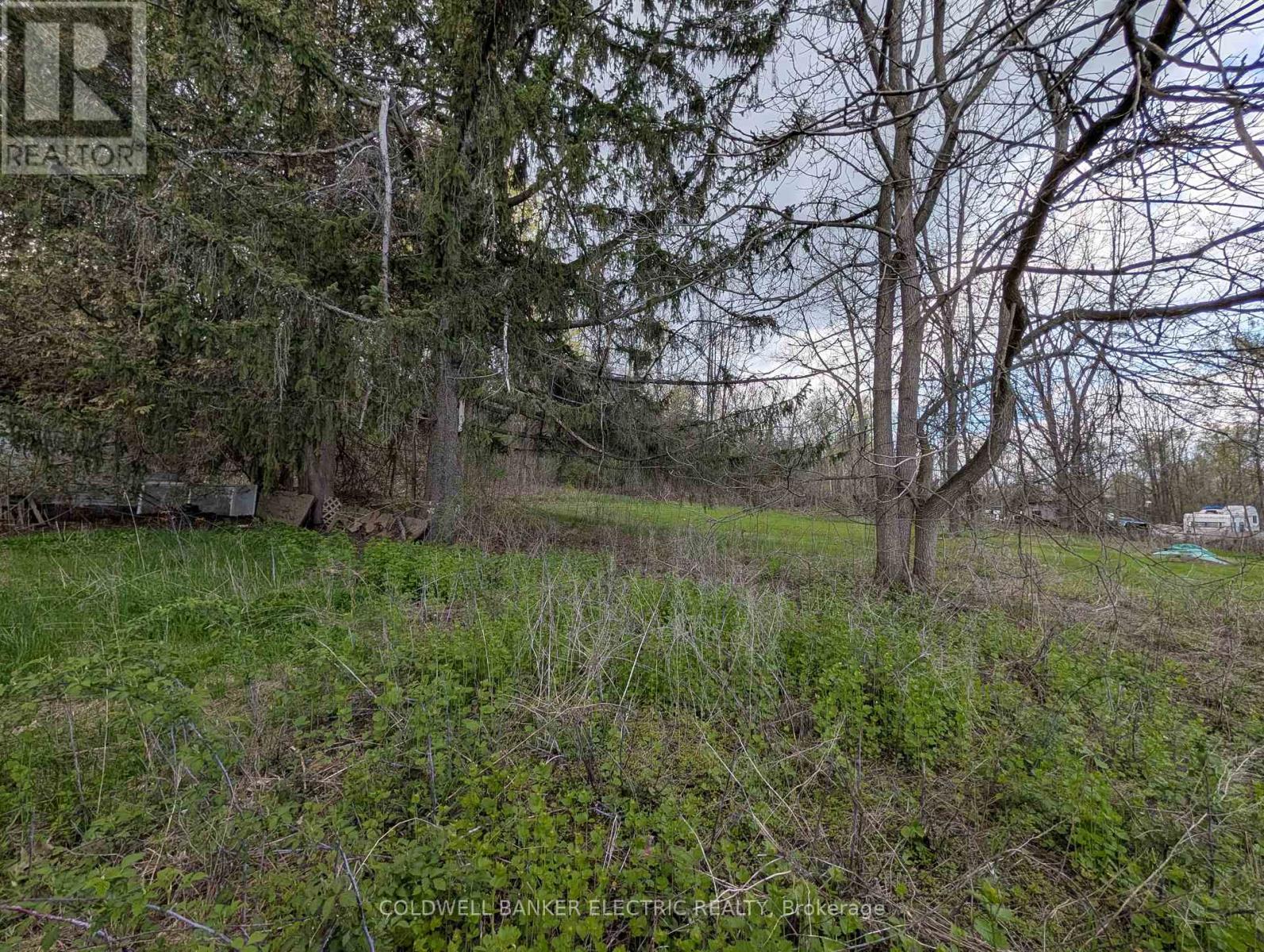 4 Taylor Lane, Trent Hills, Ontario  K0L 1L0 - Photo 16 - X13105724