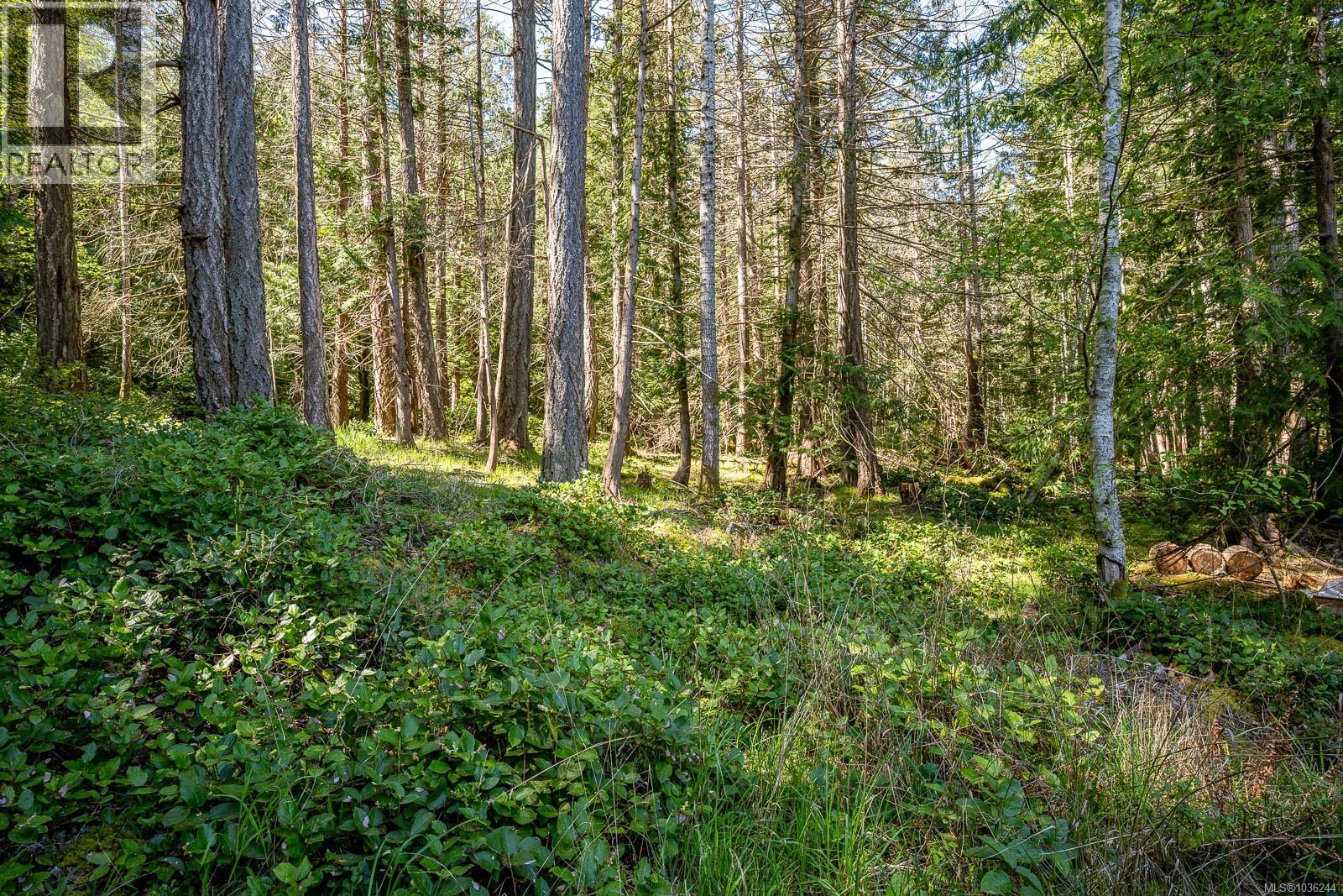 7670 Anderson Dr, Hornby Island, British Columbia  V0R 1Z0 - Photo 38 - 1036244