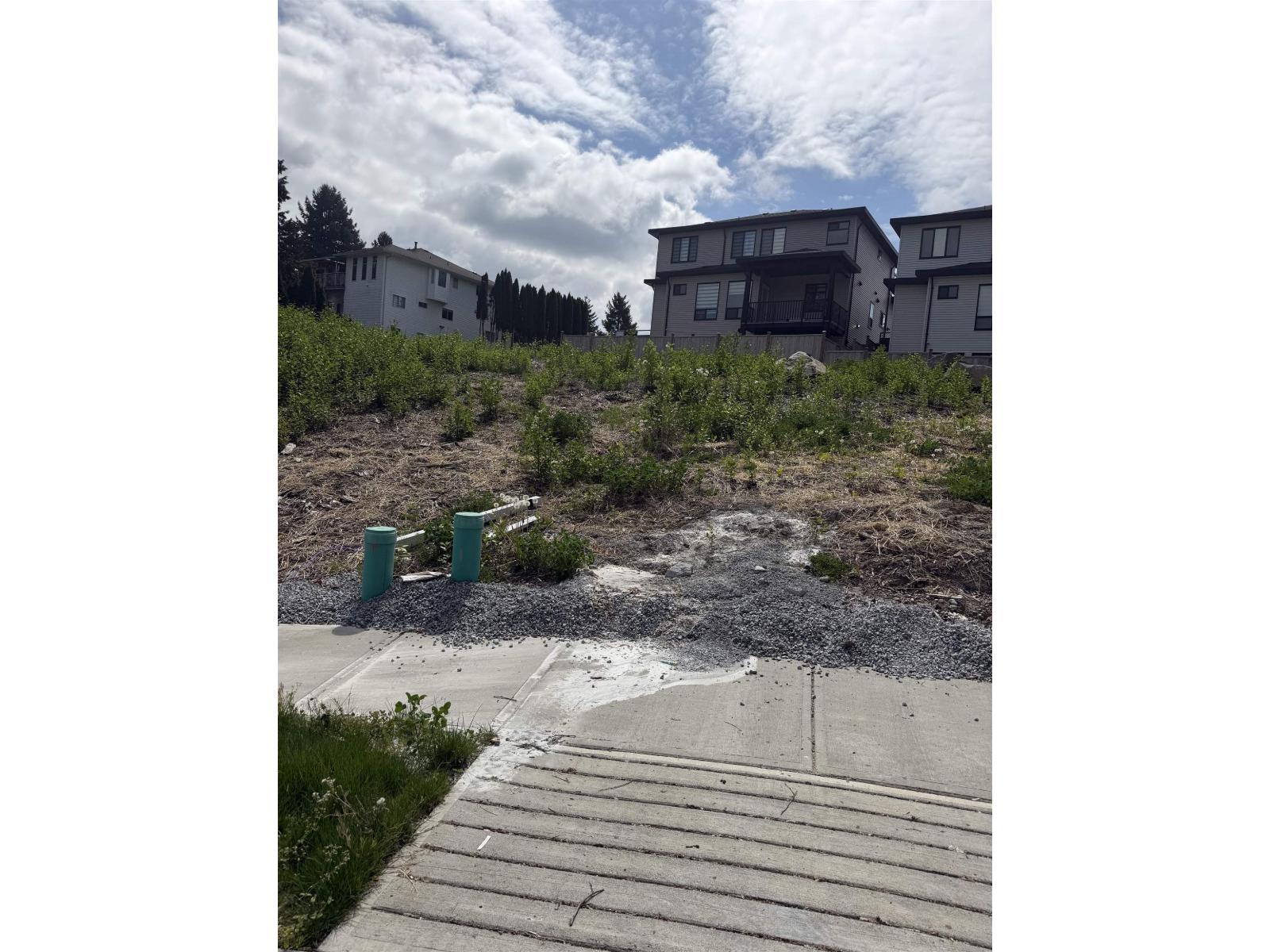 11420 138a Street, Surrey, British Columbia  V3T 4L1 - Photo 2 - R3120717