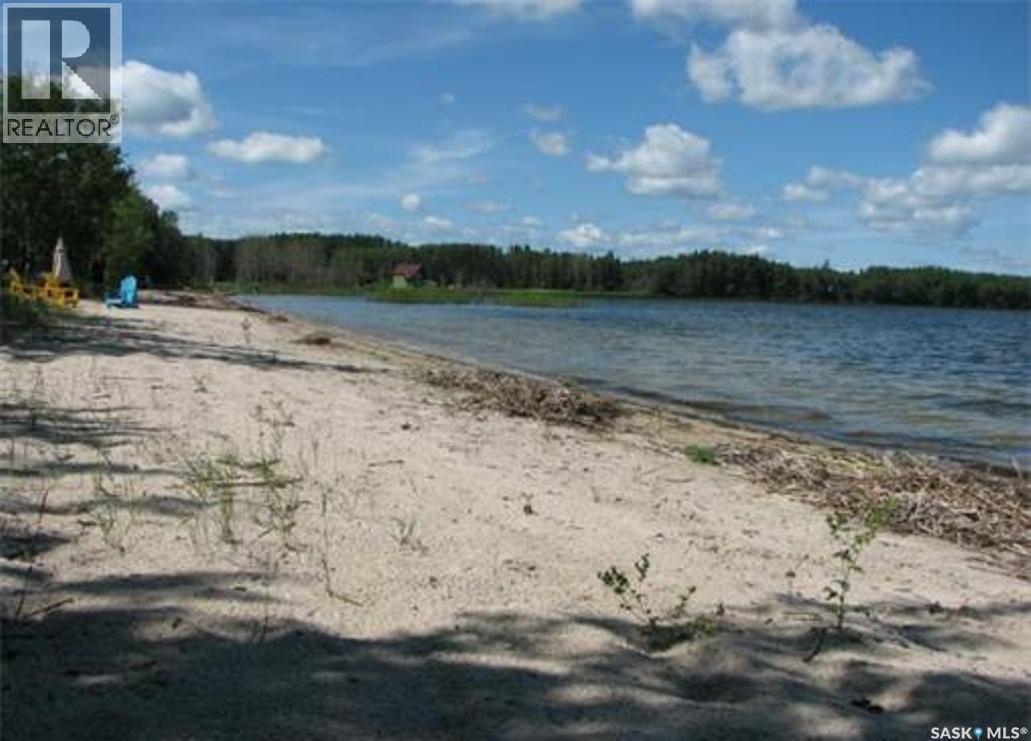 3 Cambri Road, Big River Rm No. 555, Saskatchewan  S0J 0E0 - Photo 10 - SK035476