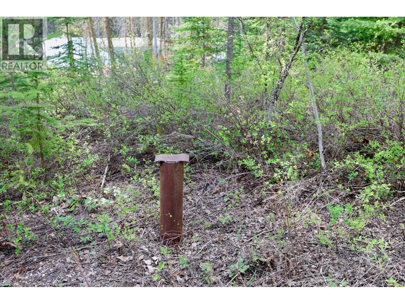 3033 Olive Road, Golden, British Columbia  V0A 1H0 - Photo 39 - 10386814
