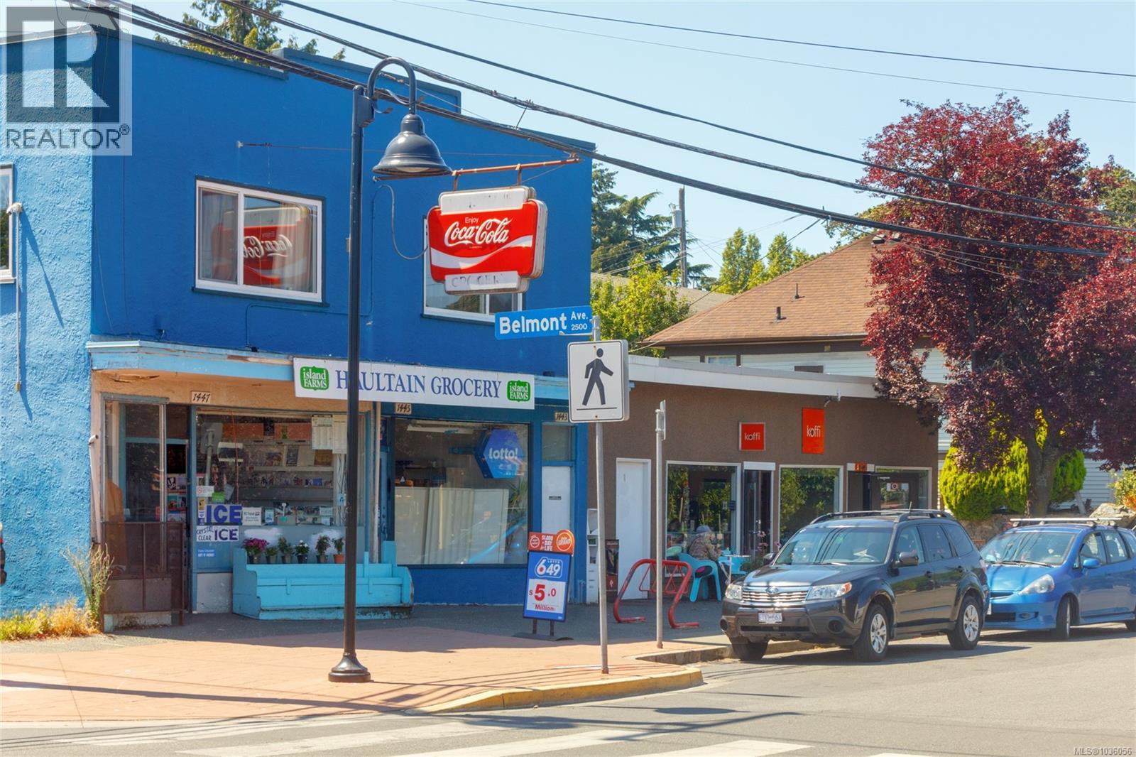 1730 Haultain St, Victoria, British Columbia  V8R 2L2 - Photo 99 - 1036056
