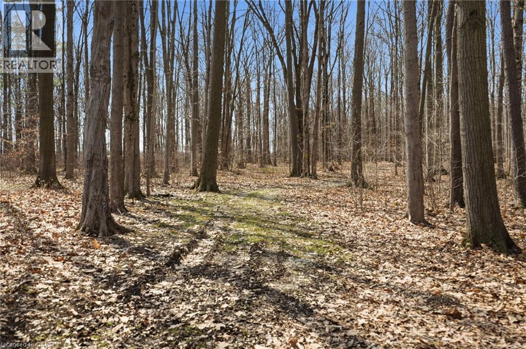 4732 Haldimand Road 20, Dunnville, Ontario  N1A 2W3 - Photo 42 - 40819452