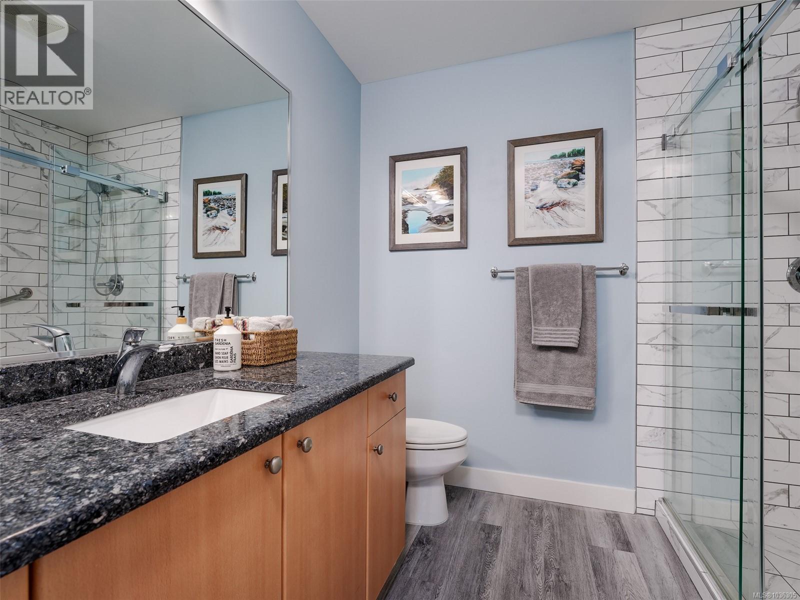 306d 1115 Craigflower Rd, Esquimalt, British Columbia  V9A 7R1 - Photo 11 - 1036305