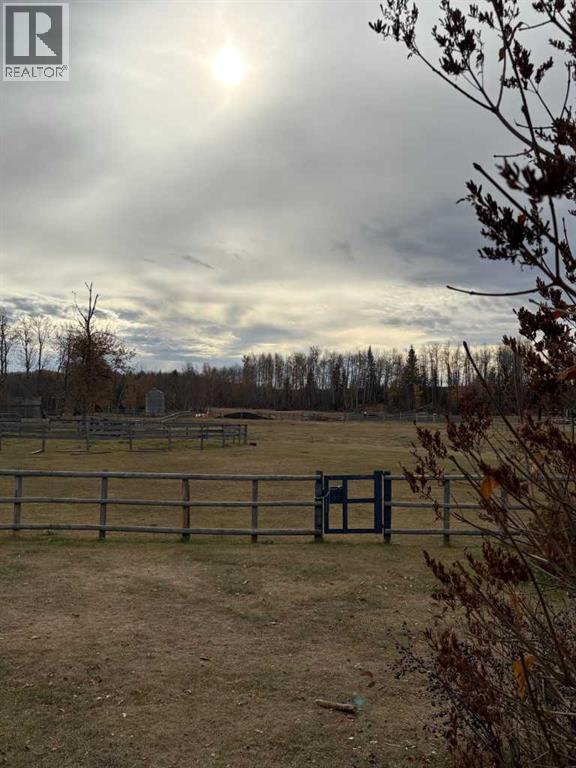 21317, 669 Highway, Rural Greenview No. 16, Alberta  T0H 3N0 - Photo 33 - A2265434