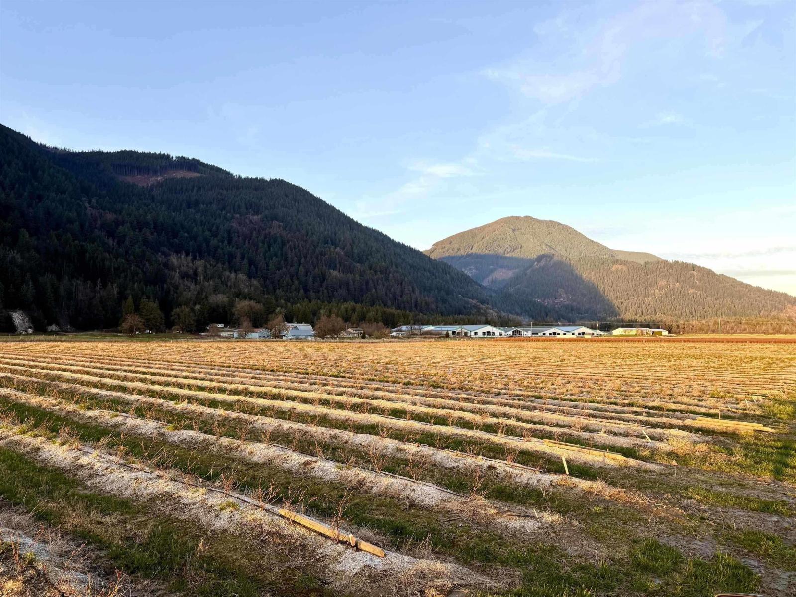 9445 Catherwood Road, Mission, British Columbia  V0M 1H0 - Photo 4 - R3121510