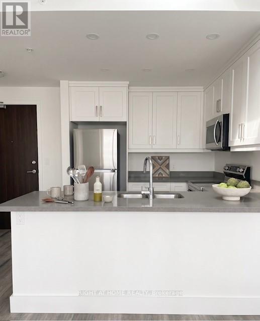 507 - 300b Fourth Avenue, St. Catharines, Ontario  L2S 0E6 - Photo 2 - X13105790