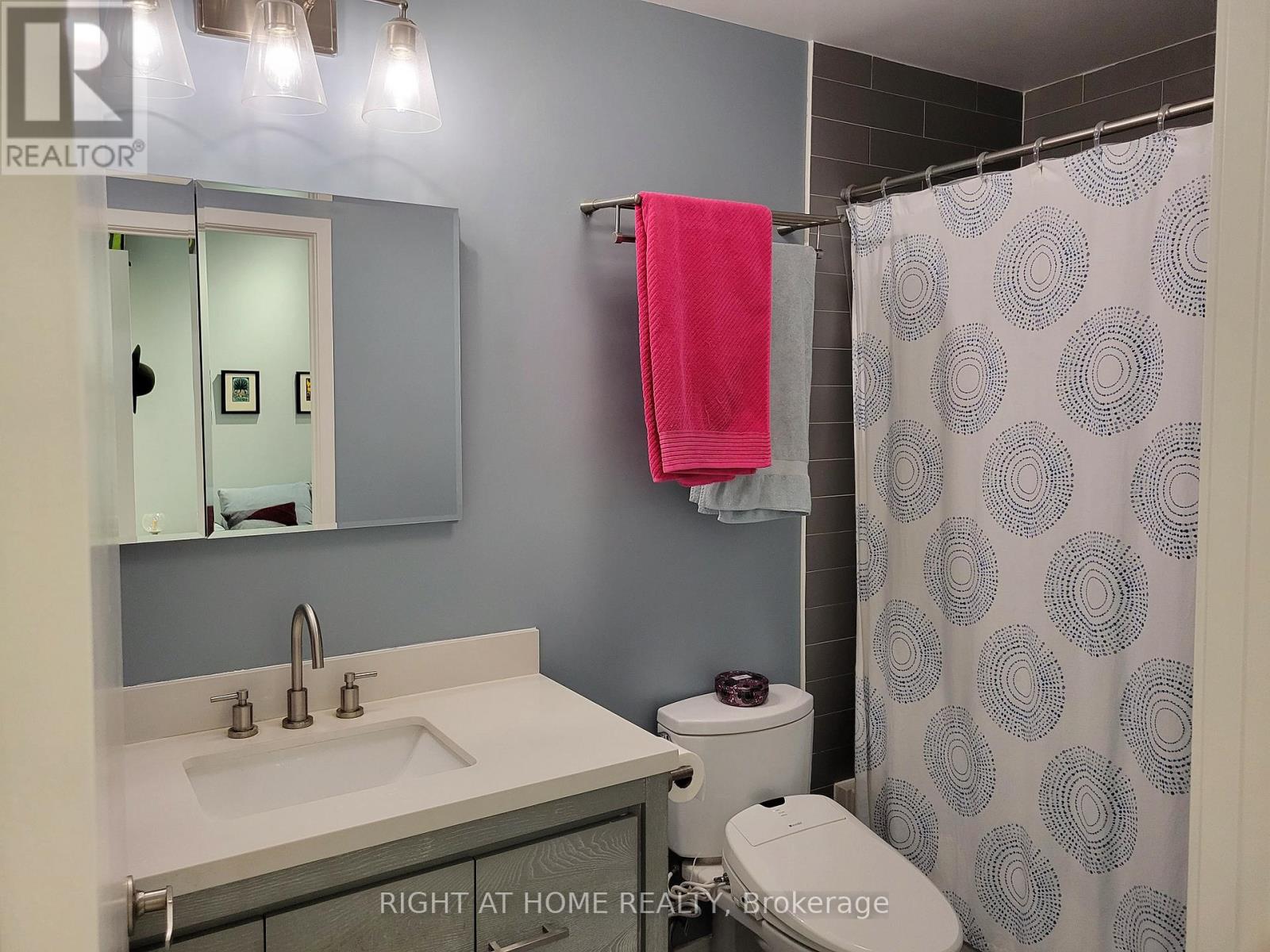 808 - 38 Niagara Street, Toronto, Ontario  M5V 3X1 - Photo 8 - C13003678