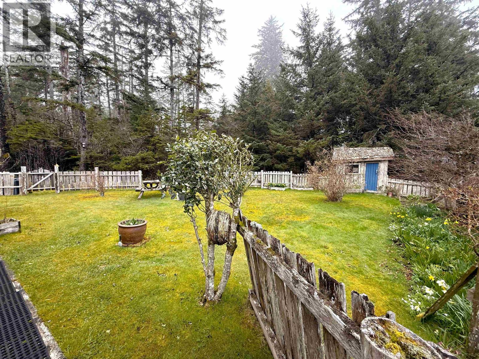 556 Davis Road, Daajing Giids Rural, British Columbia  V0T 1Y0 - Photo 13 - R3121574