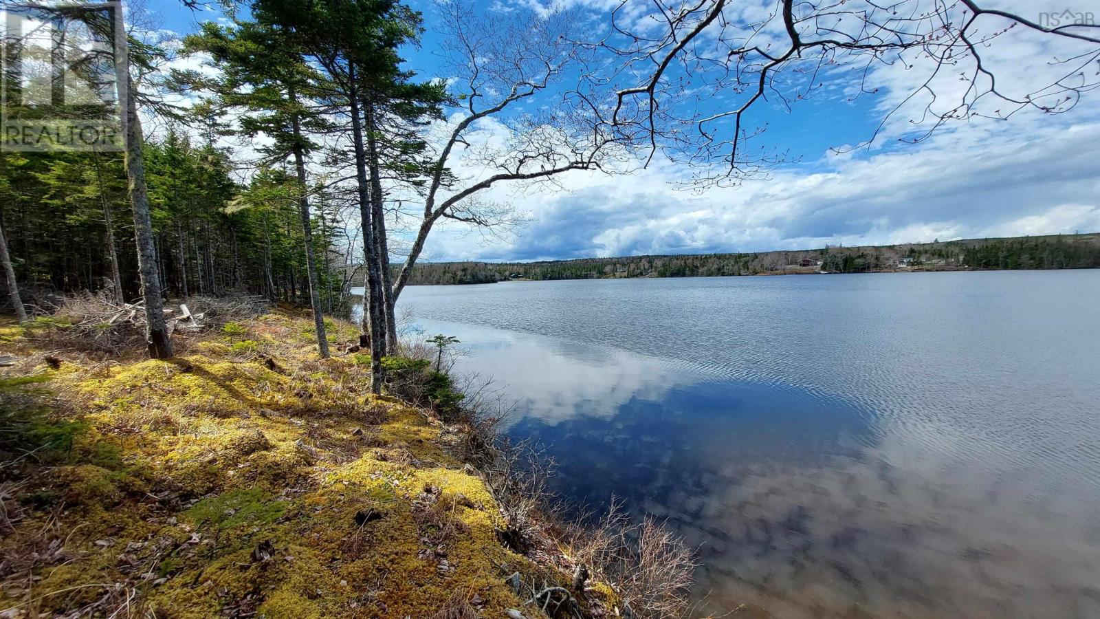 Lot 4 Highway 4, False Bay, Nova Scotia  B0E 1V0 - Photo 1 - 202601046