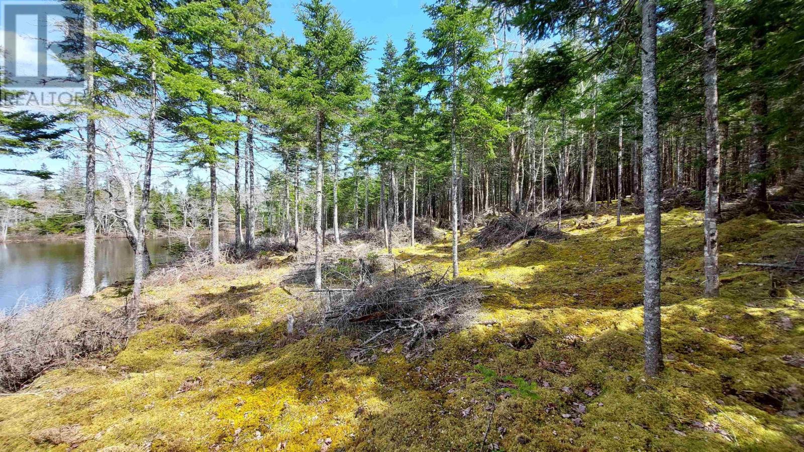 Lot 4 Highway 4, False Bay, Nova Scotia  B0E 1V0 - Photo 13 - 202601046