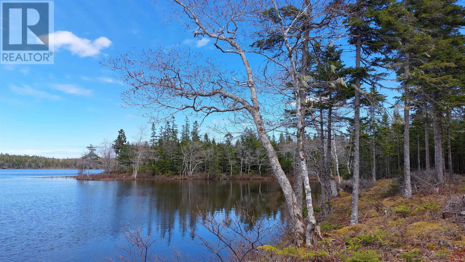 Lot 4 Highway 4, False Bay, Nova Scotia  B0E 1V0 - Photo 4 - 202601046