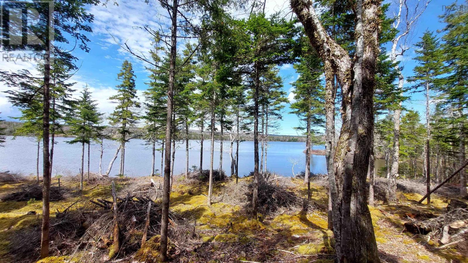 Lot 4 Highway 4, False Bay, Nova Scotia  B0E 1V0 - Photo 3 - 202601046