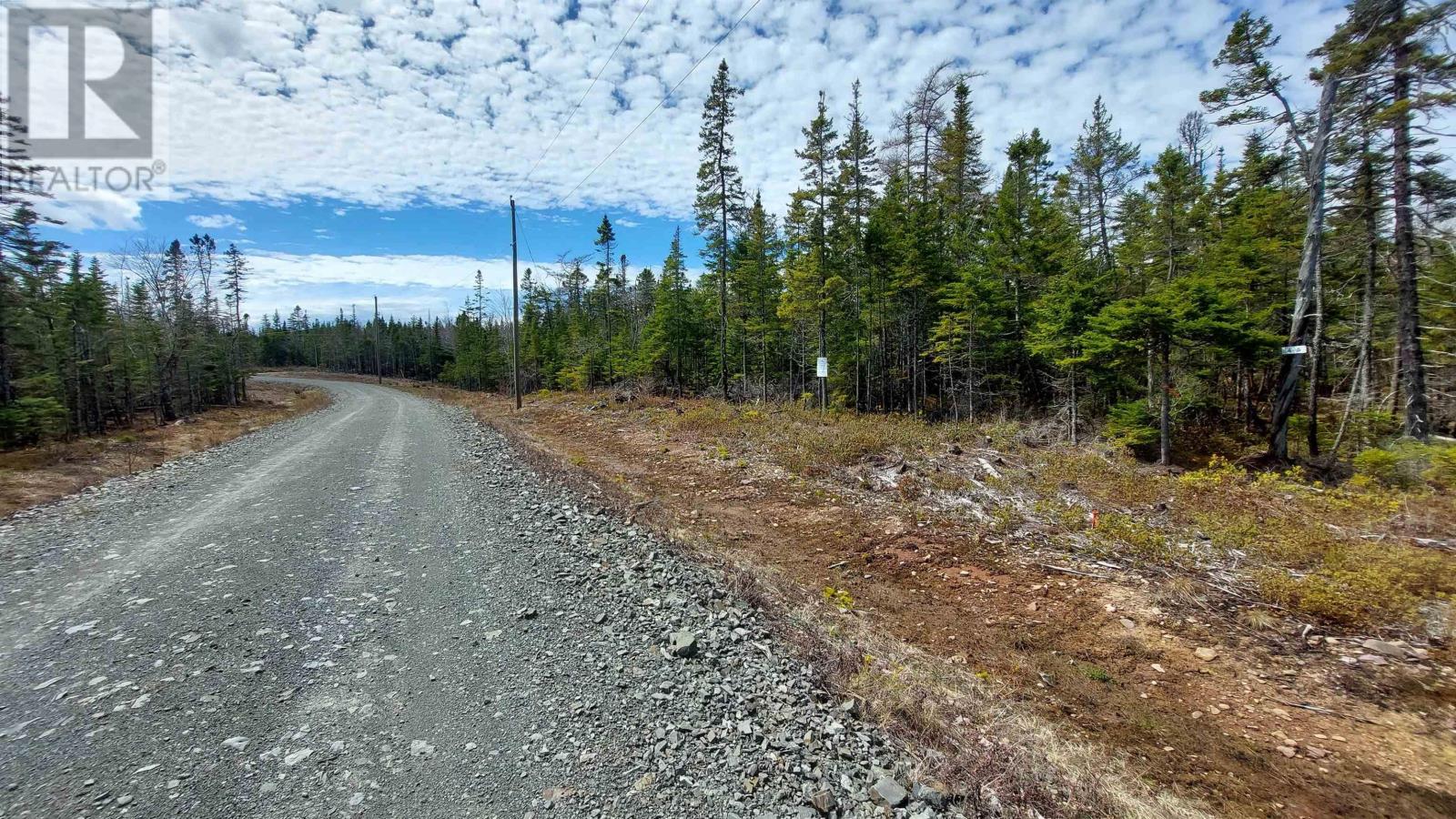 Lot 4 Highway 4, False Bay, Nova Scotia  B0E 1V0 - Photo 5 - 202601046