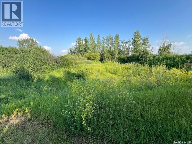 Strunk Acreage, Dundurn Rm No. 314, Saskatchewan  S7K 1M2 - Photo 46 - SK035192