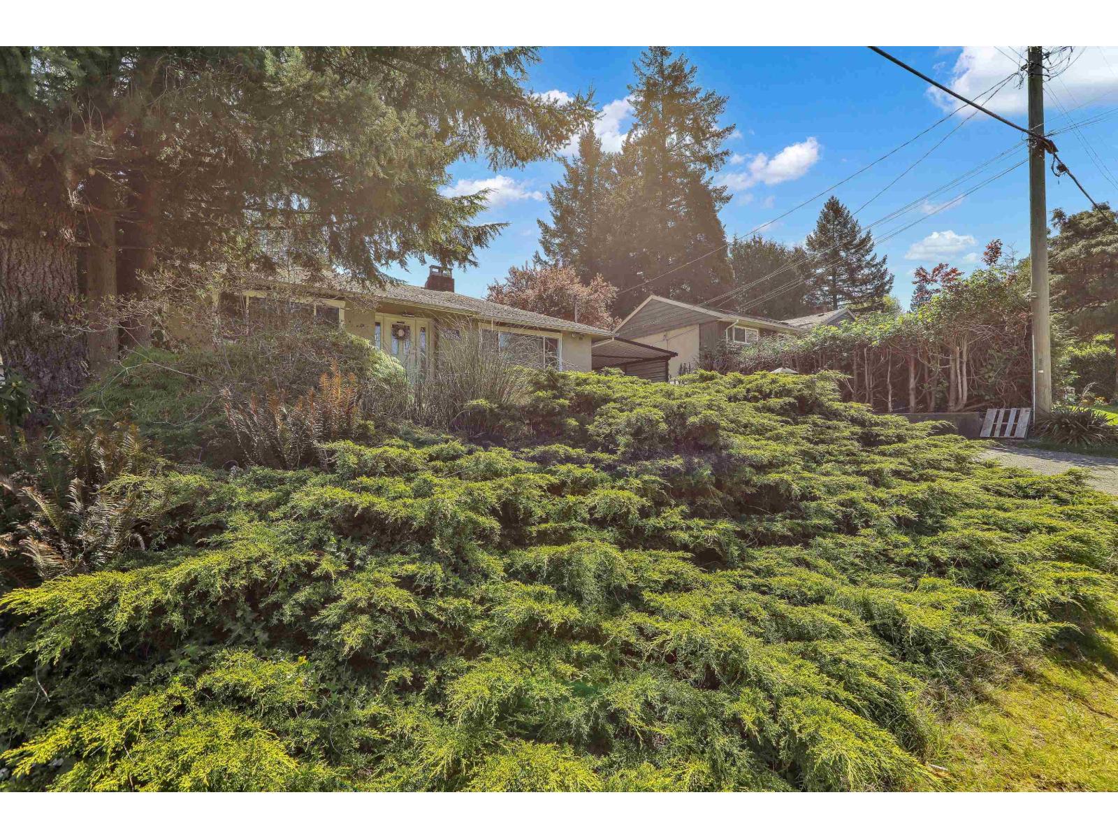 11230 Lansdowne Drive, Surrey, British Columbia  V3R 4Z7 - Photo 40 - R3121614