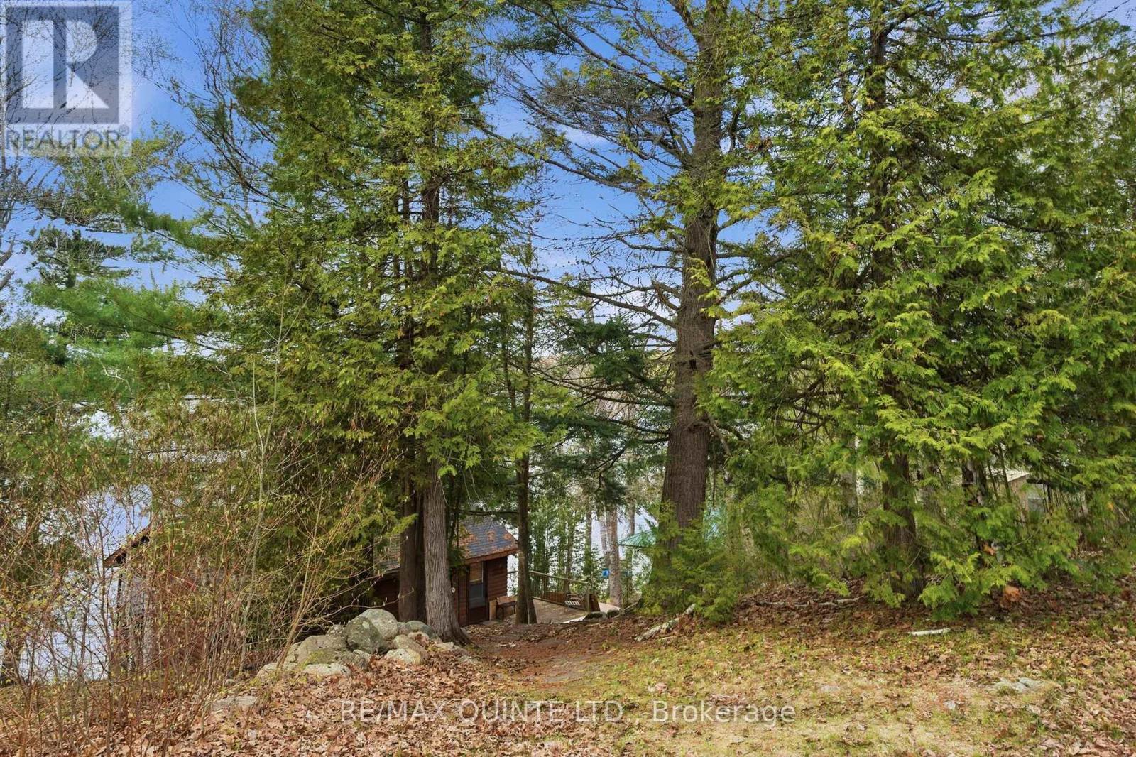 165 Retriever Lane, Centre Hastings, Ontario  K0K 3J0 - Photo 7 - X13106534