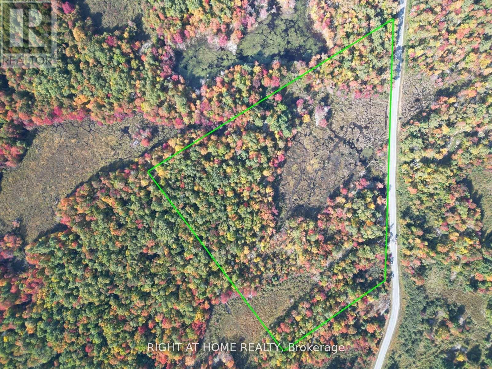 1115 Flinton Rd Highway N, Tweed, Ontario  K0K 3J0 - Photo 10 - X13106706