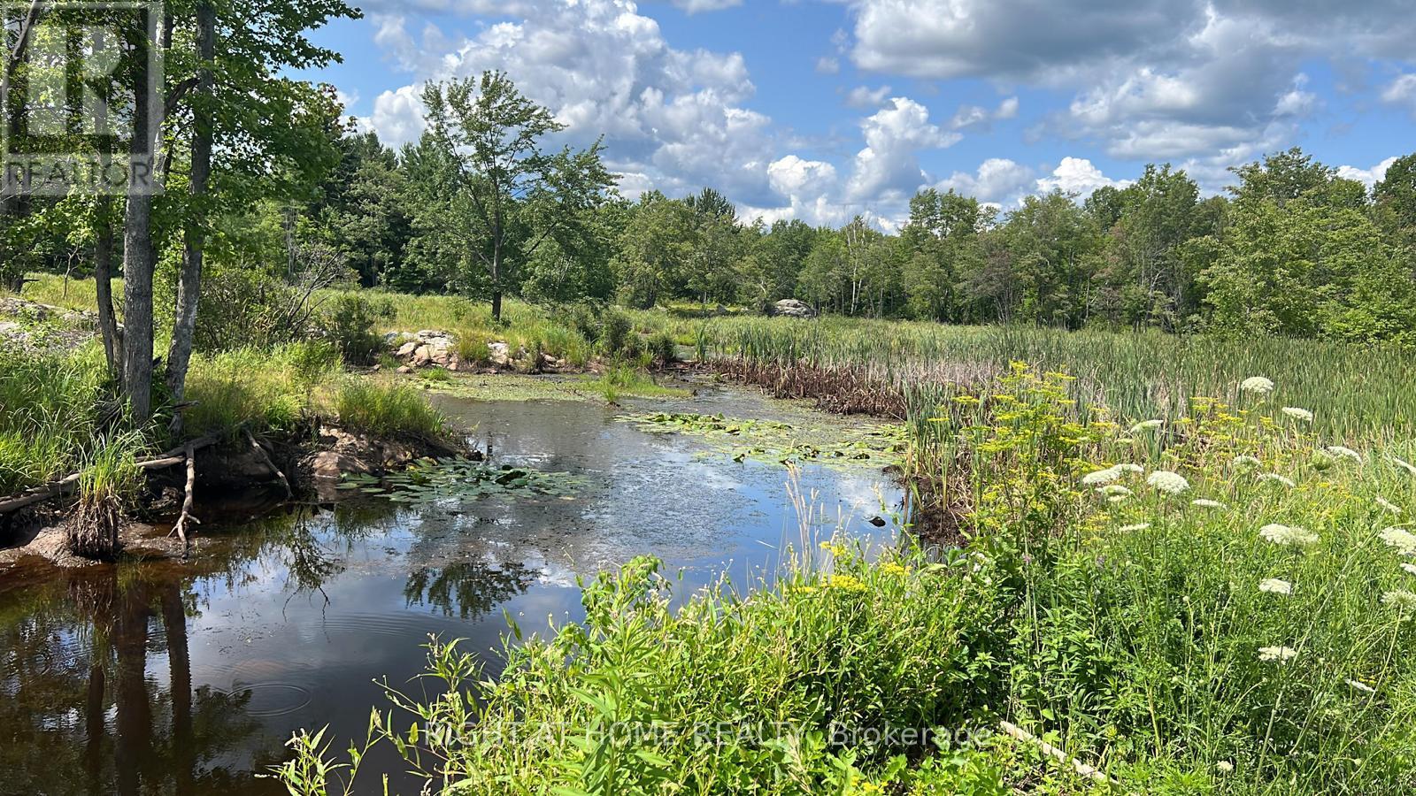 1115 Flinton Rd Highway N, Tweed, Ontario  K0K 3J0 - Photo 16 - X13106706