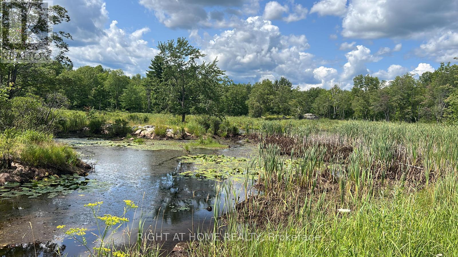 1115 Flinton Rd Highway N, Tweed, Ontario  K0K 3J0 - Photo 17 - X13106706