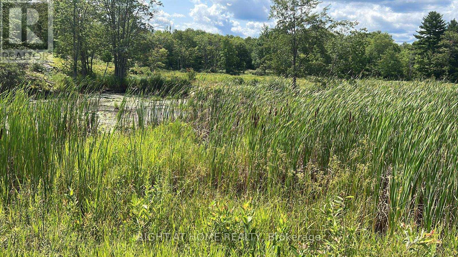 1115 Flinton Rd Highway N, Tweed, Ontario  K0K 3J0 - Photo 19 - X13106706