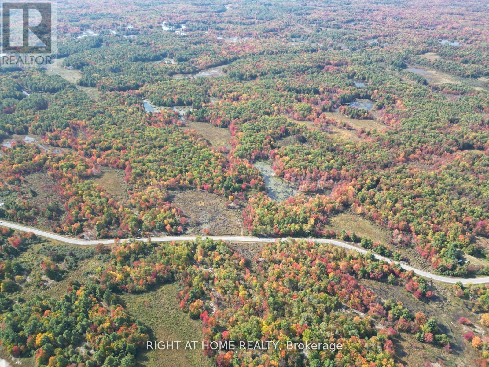 1115 Flinton Rd Highway N, Tweed, Ontario  K0K 3J0 - Photo 4 - X13106706
