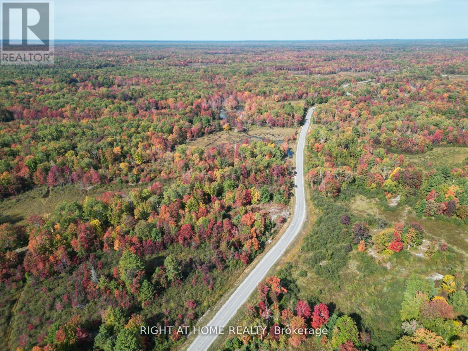 1115 Flinton Rd Highway N, Tweed, Ontario  K0K 3J0 - Photo 5 - X13106706