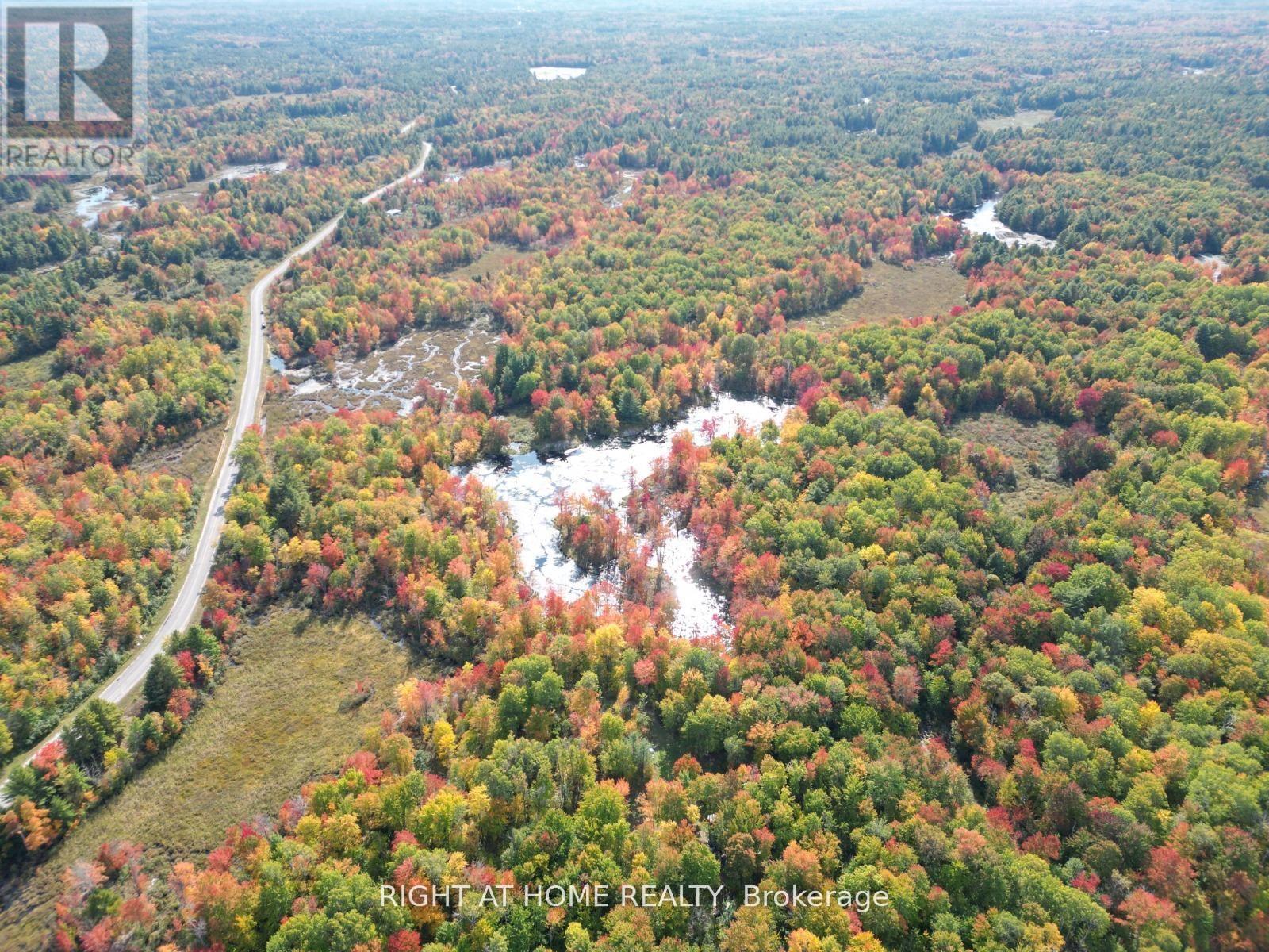 1115 Flinton Rd Highway N, Tweed, Ontario  K0K 3J0 - Photo 6 - X13106706