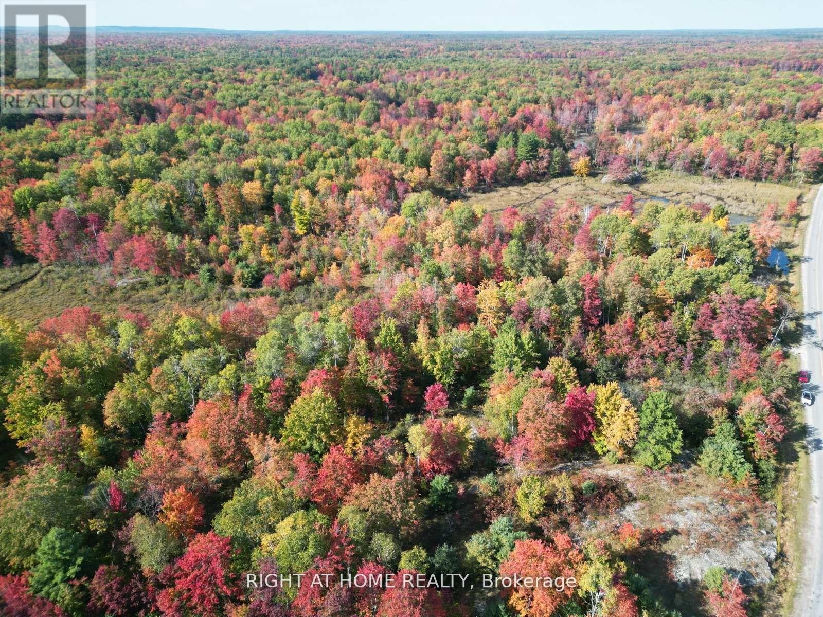 1115 Flinton Rd Highway N, Tweed, Ontario  K0K 3J0 - Photo 7 - X13106706