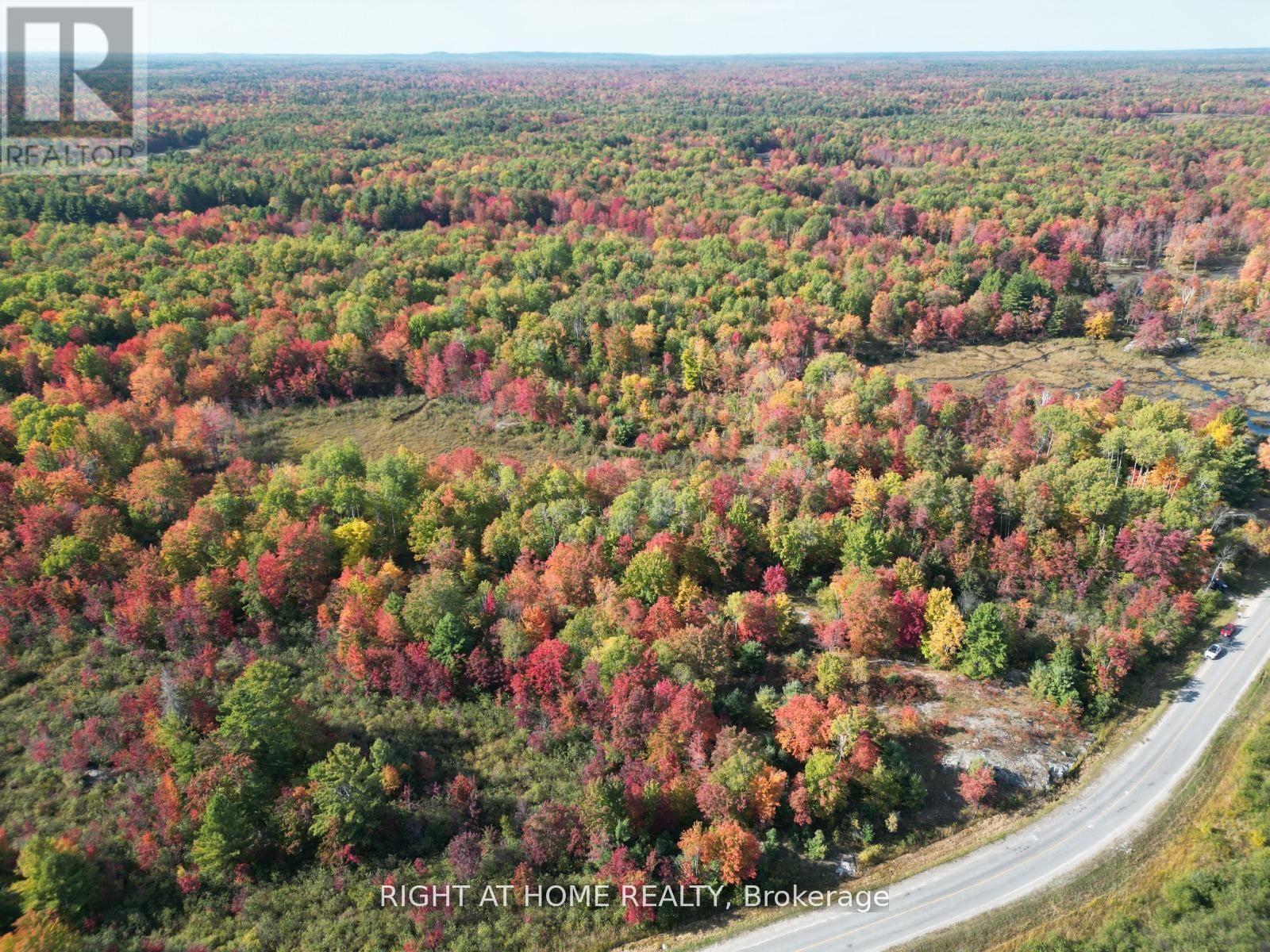 1115 Flinton Rd Highway N, Tweed, Ontario  K0K 3J0 - Photo 8 - X13106706