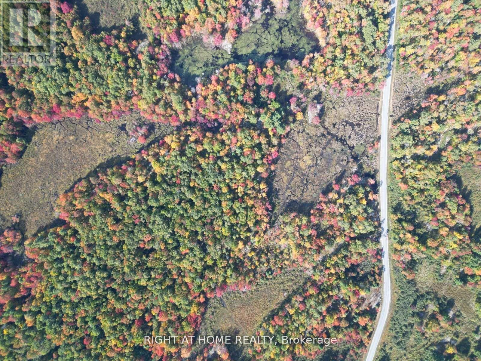1115 Flinton Rd Highway N, Tweed, Ontario  K0K 3J0 - Photo 9 - X13106706